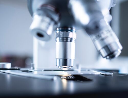 What are the uses of ammonia?